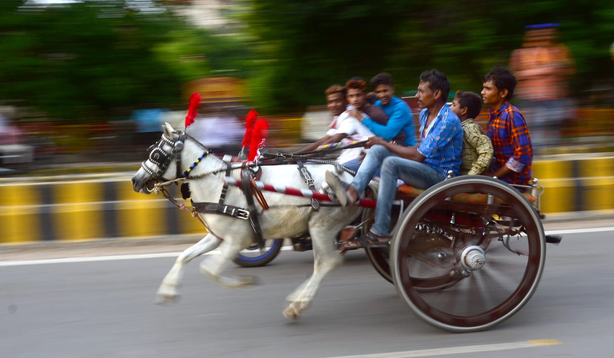 Prayagraj: Gajab's adventures among the fame of the city's gambling