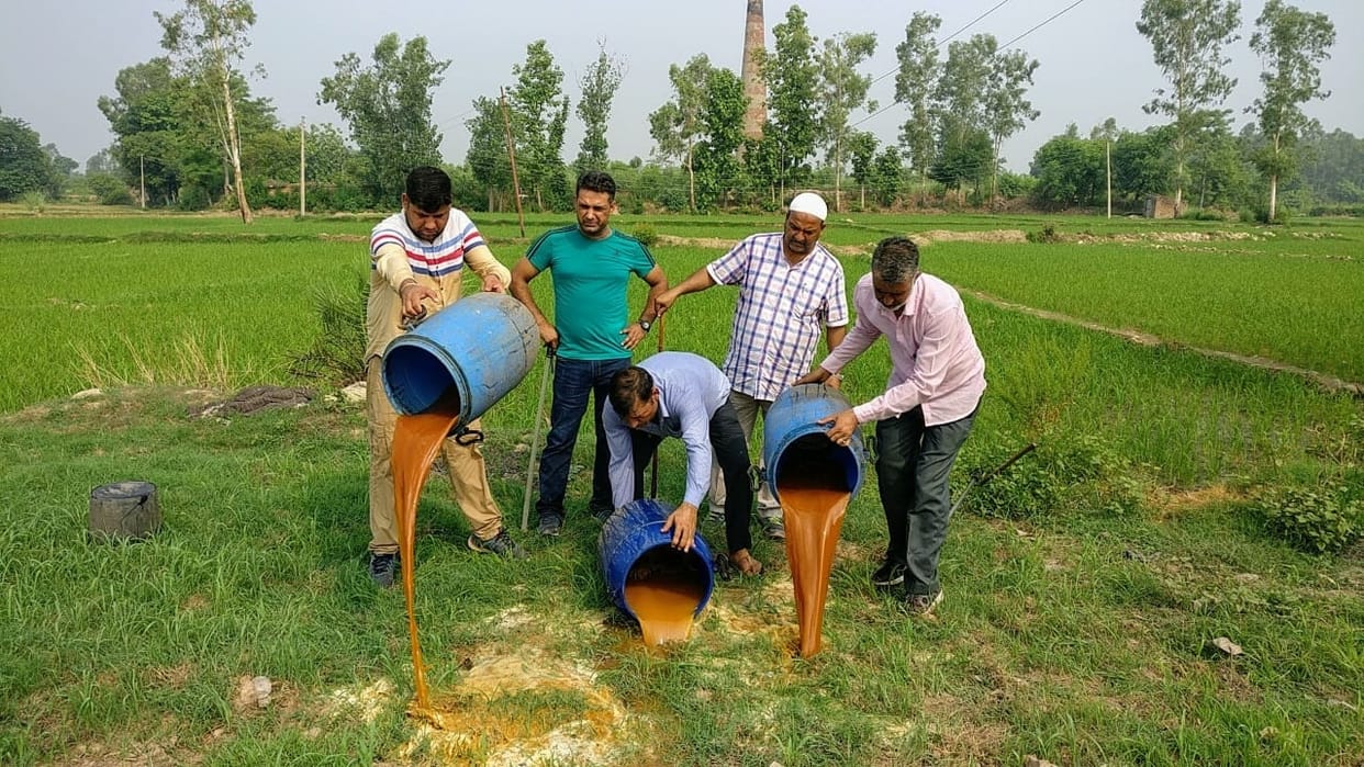 department act upon desi wine