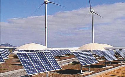 deoria soler plant