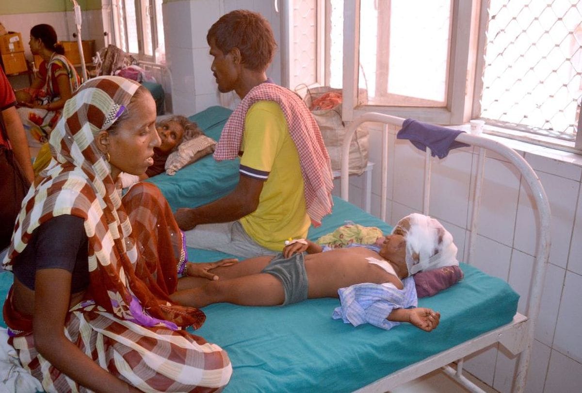 Dog Bite Three Years Old Child  In Mathura Critical Hindi News