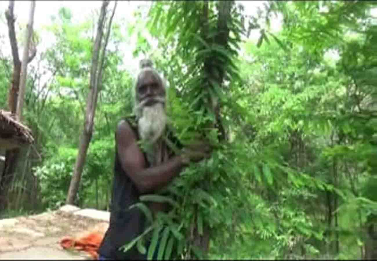 Priyanka Gandhi tweet about Tree Man