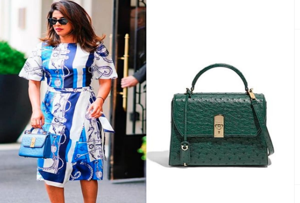 The Cost Of Priyanka Chopra Mini Bag Will Simply Blow Your Mind