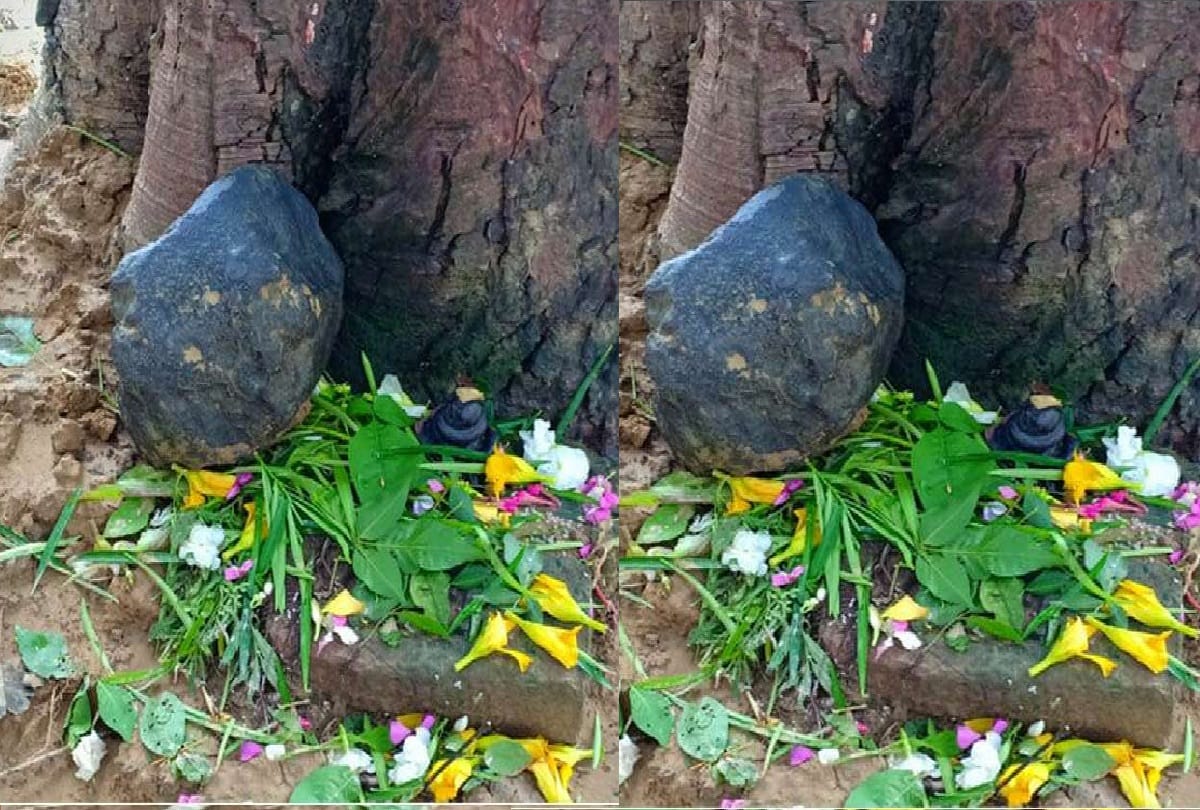 Suspected meteorite chunk landed in Bihar Madhubani district