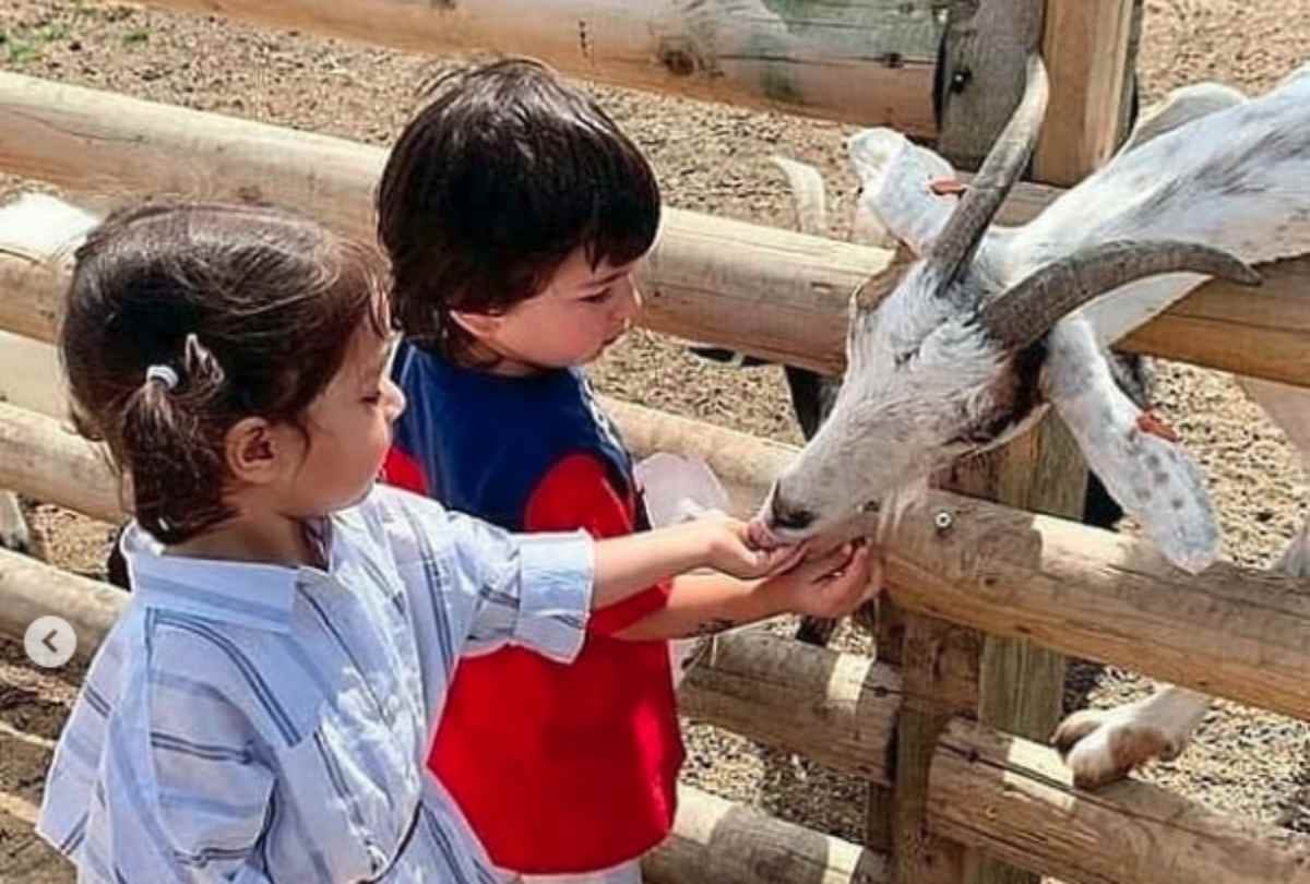 taimur ali khan and inaya naumi enoying in farm in london with kareena kapoor and soha ali khan