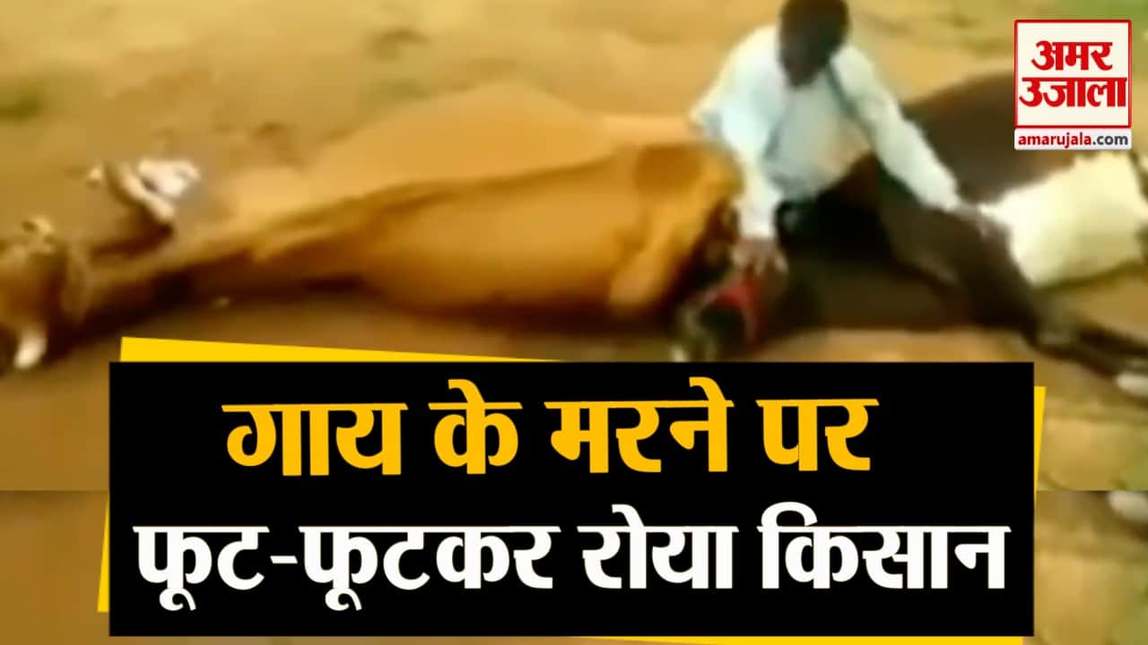 डिजाइन पिक्चर