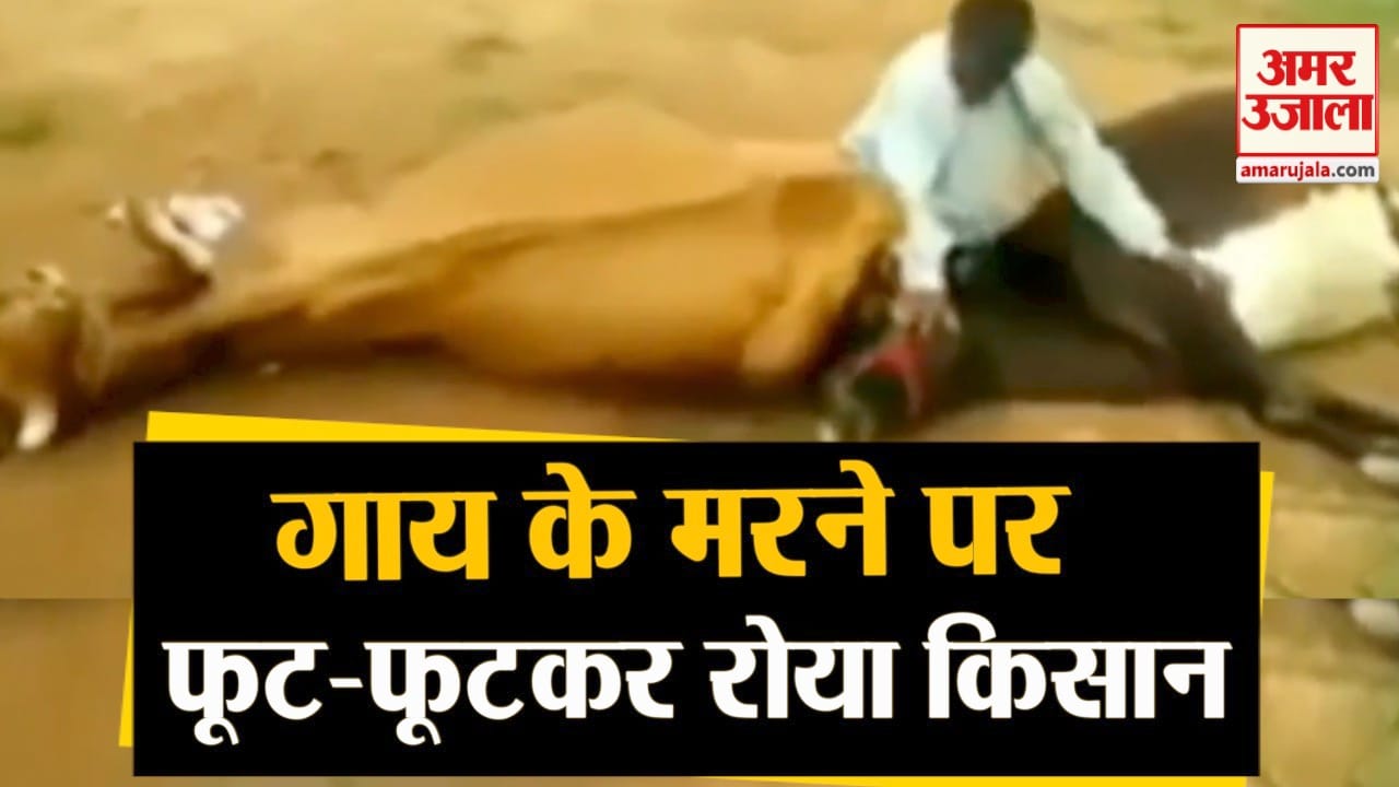 डिजाइन पिक्चर