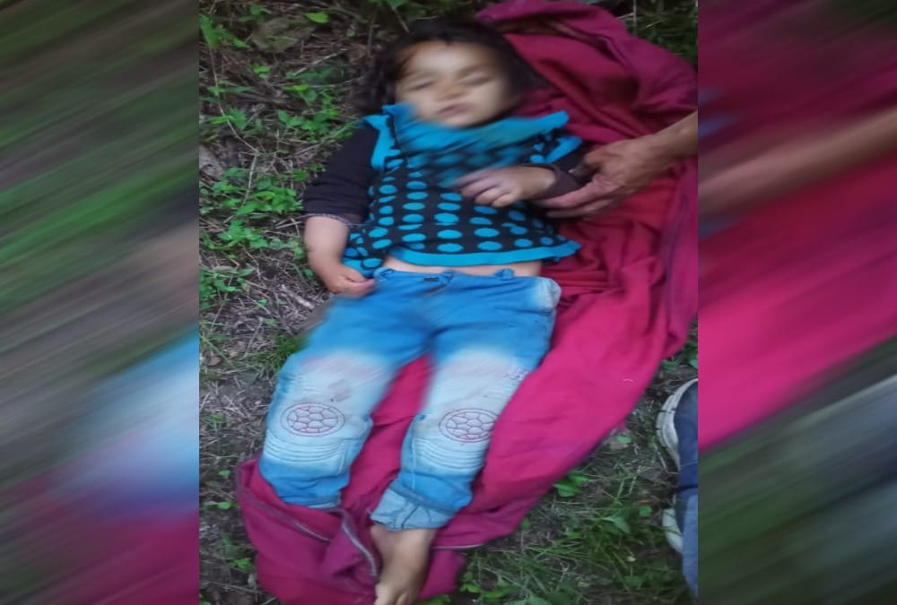 Snake bite To Four years old girl death in hospital joshimath