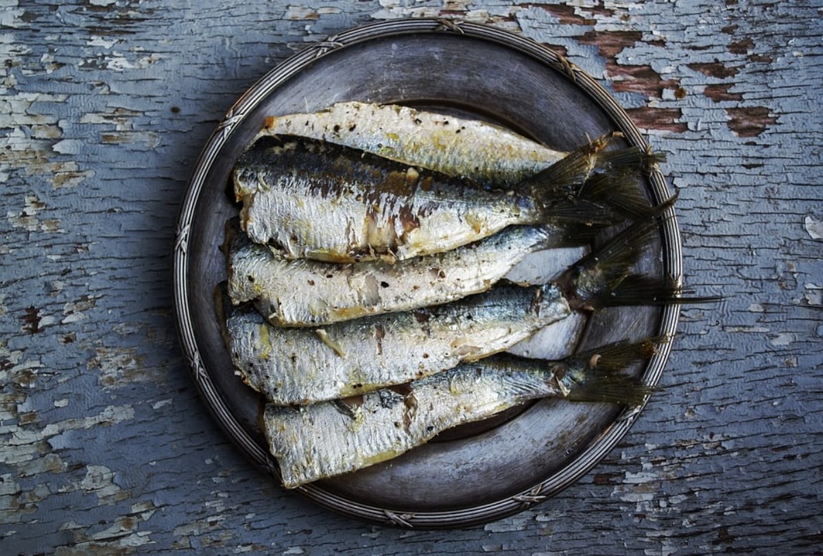 eating minerals fish effective for human health tons of benefits