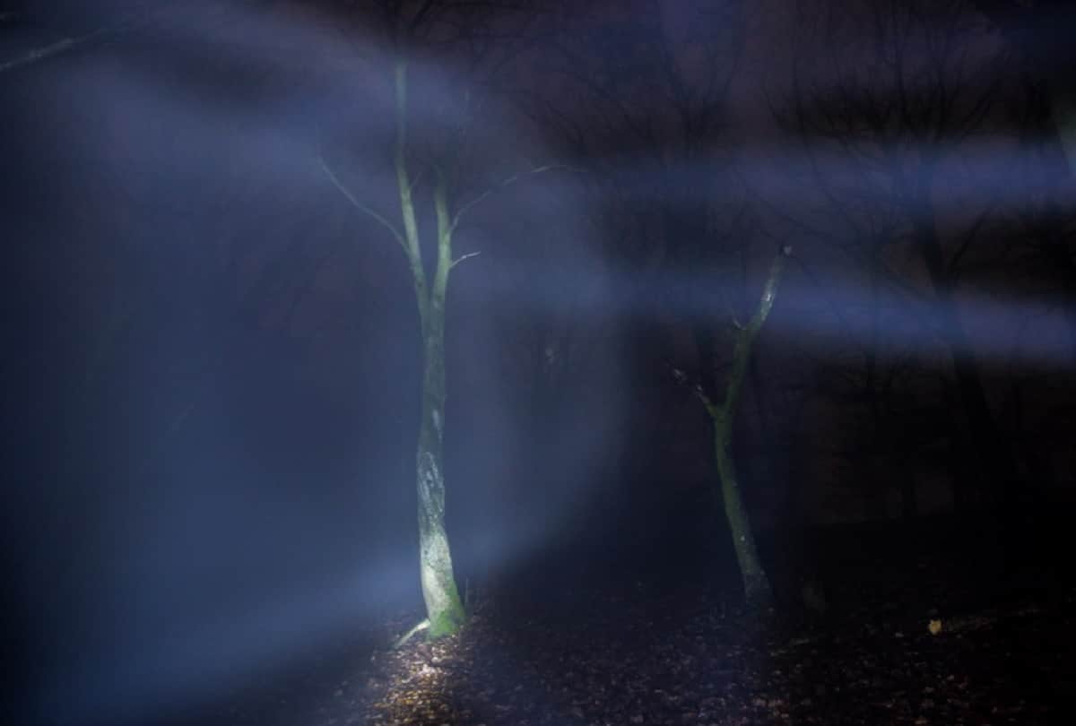 Hoia Baciu Transylvania Haunted Forest The Bermuda Triangle of Romania Mysterious Forest