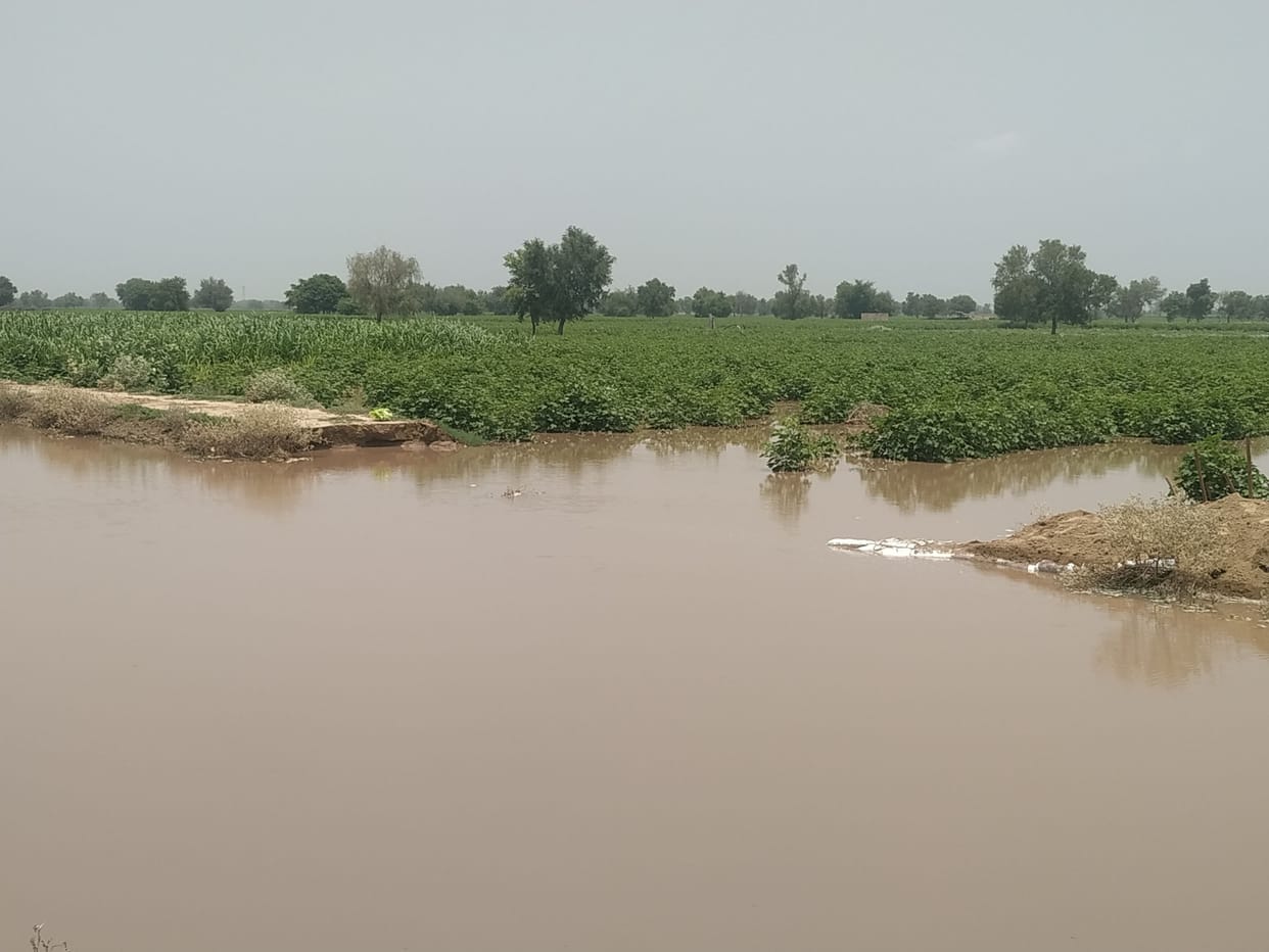 canal, sirsa
