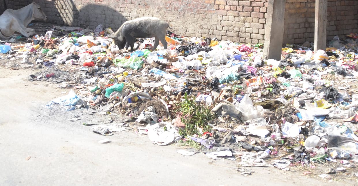 garbage in the city