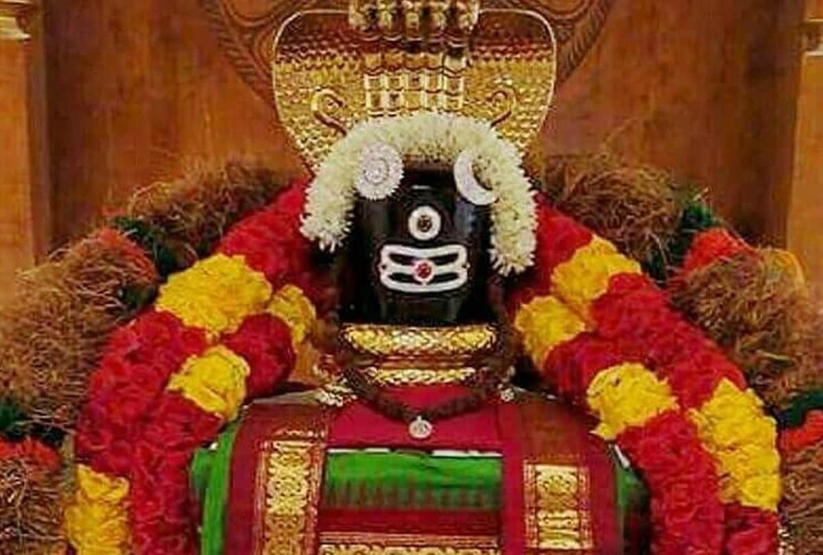 know special puja method for sawan month 2019