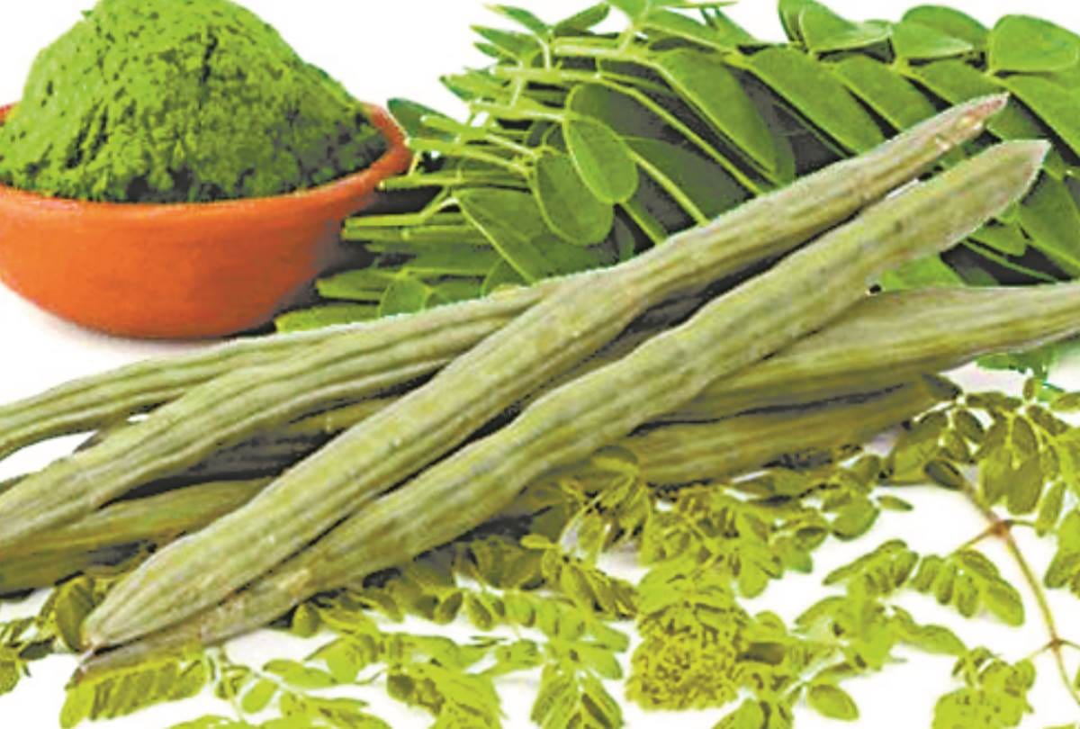Know about the benefits of moringa vegetable