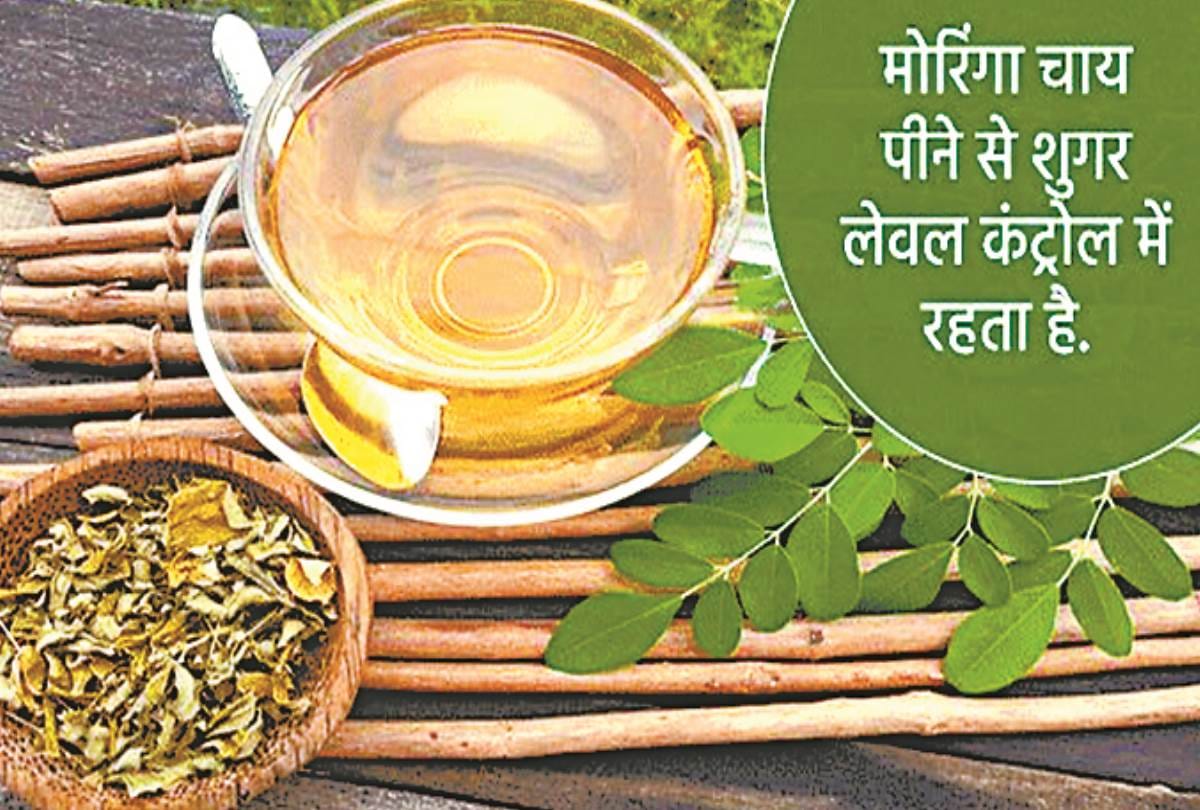 Know about the benefits of moringa vegetable