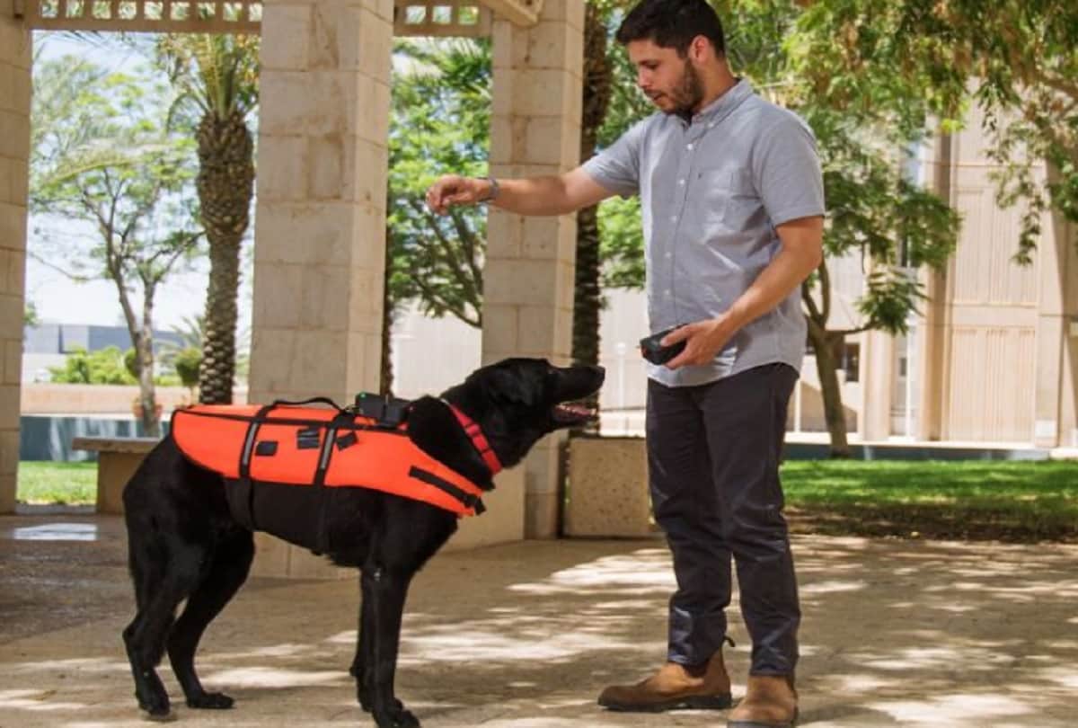 Scientists Invent Haptic Vest that allows to Control Dogs Remotely in Israel