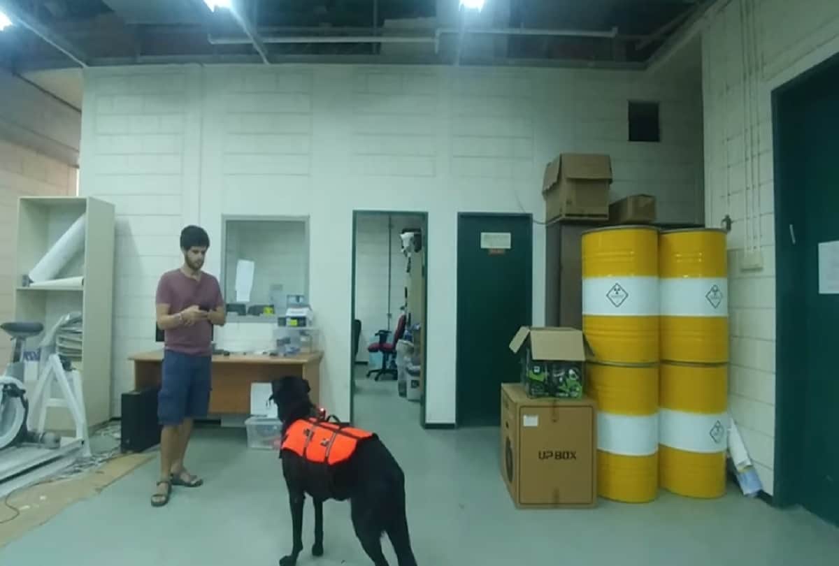 Scientists Invent Haptic Vest that allows to Control Dogs Remotely in Israel