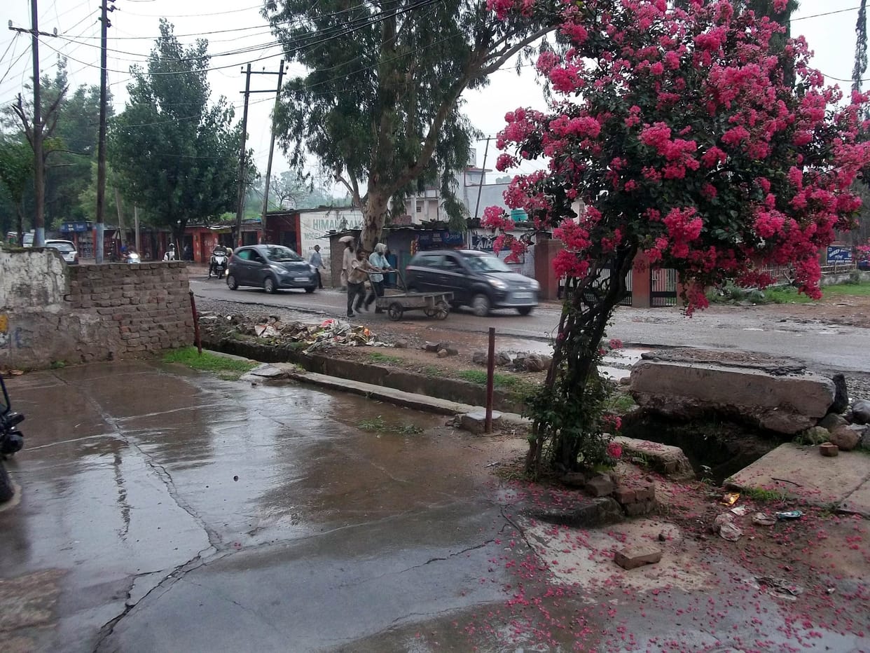 weather in jammu kashmir