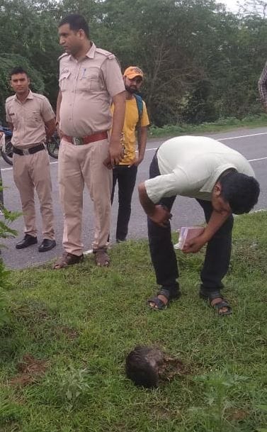 murder of th young