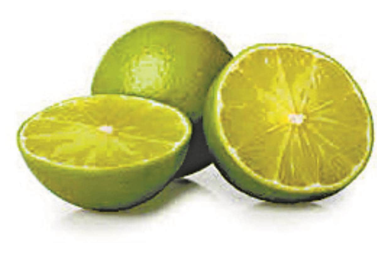 with this home remedies get rid of dandruff in winter season