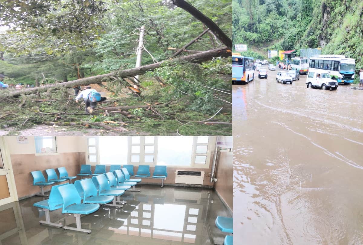 landslides and tree fell in shimla due to heavy rainfall