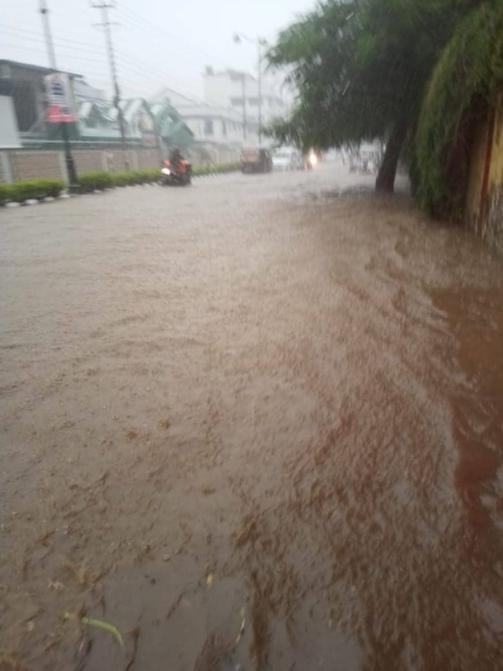 rain in dehradun major water logging