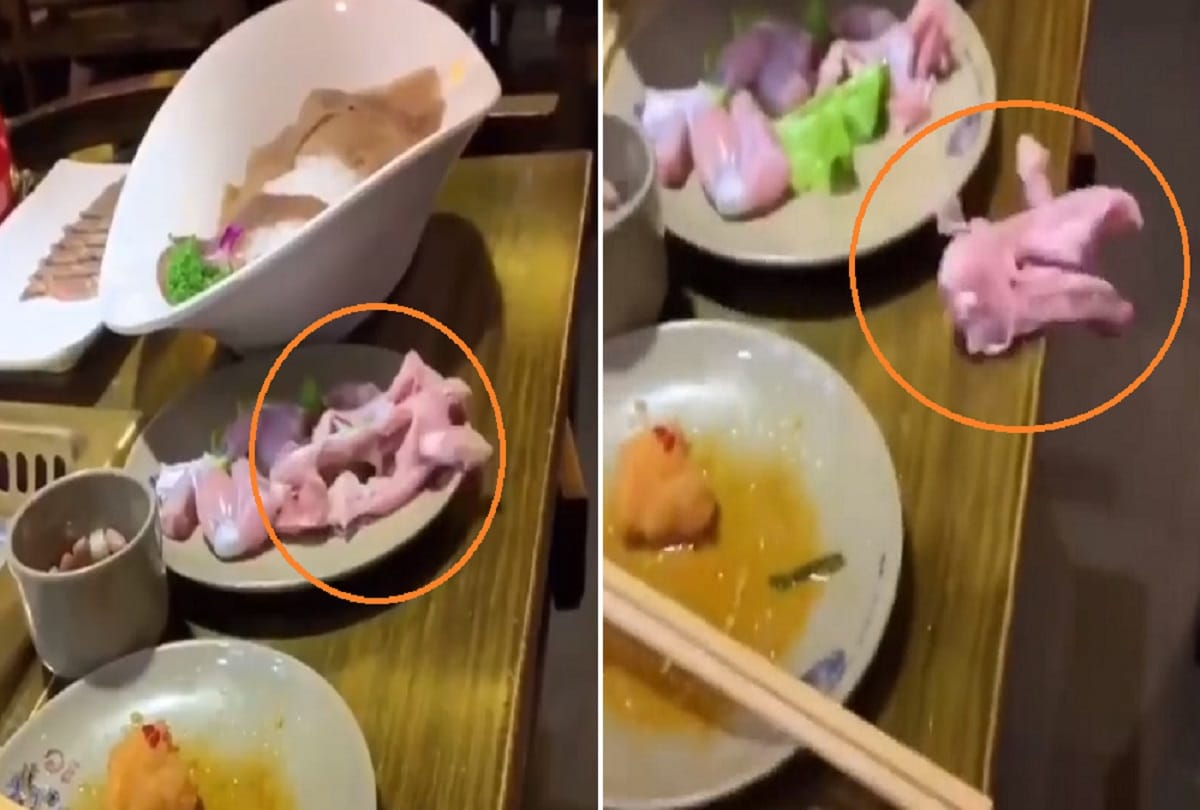 Horrifying video a piece of raw meat crawl off restaurant customers plate