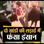 डिजाइन पिक्चर