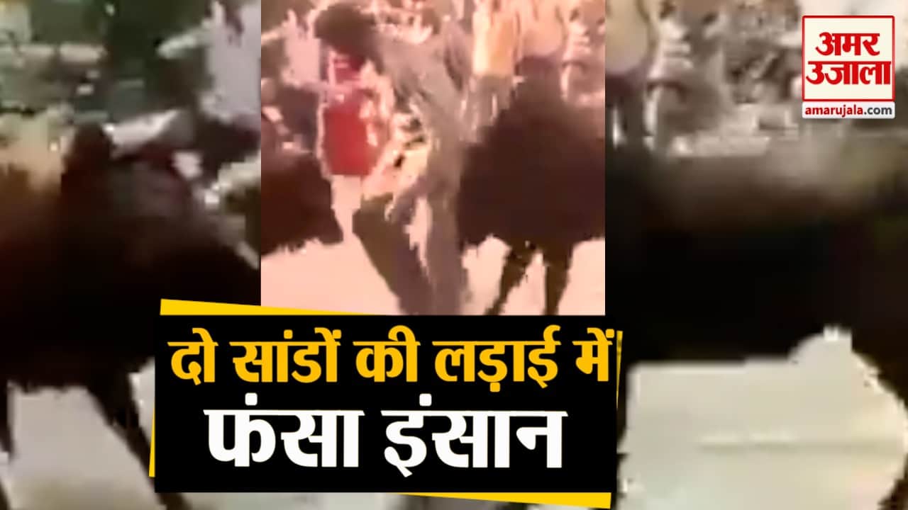 डिजाइन पिक्चर