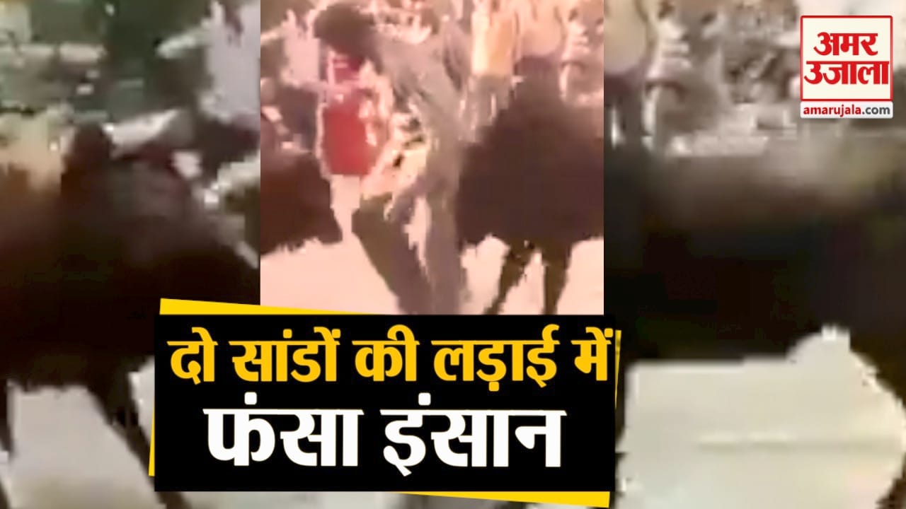 डिजाइन पिक्चर