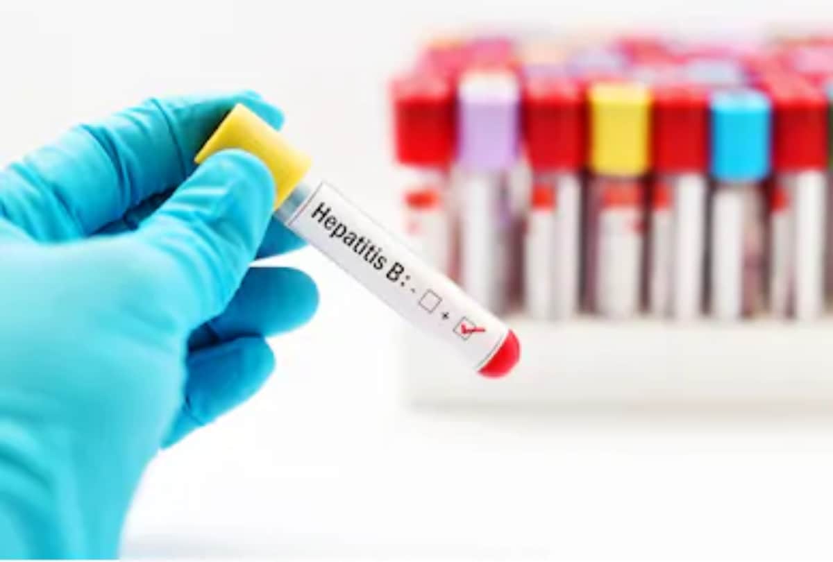 Hepatitis B Symptoms Vaccine And Precautions