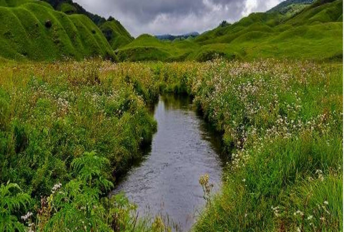 dzukou valley best destination for camping in nagaland