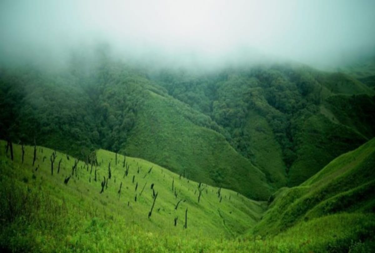 dzukou valley best destination for camping in nagaland
