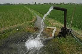 Prayagraj: Irrigation Department stand by giving water to farmers of Yamuna Pahar
