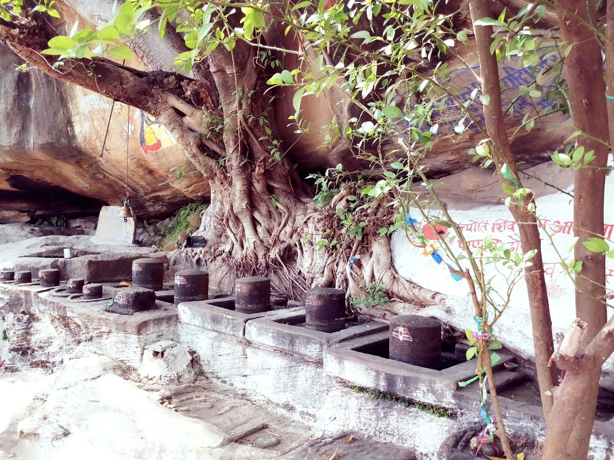 Pandavas resided for one year in pandav van
