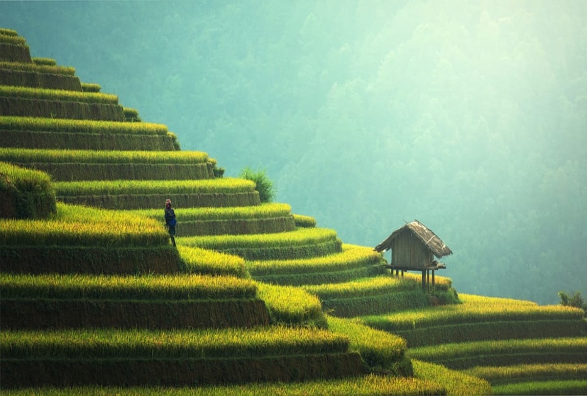 Things you need to know about Bali