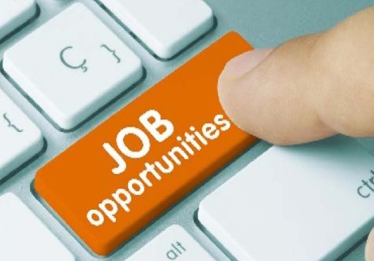 Apply for jobs in employment fair in kanpur