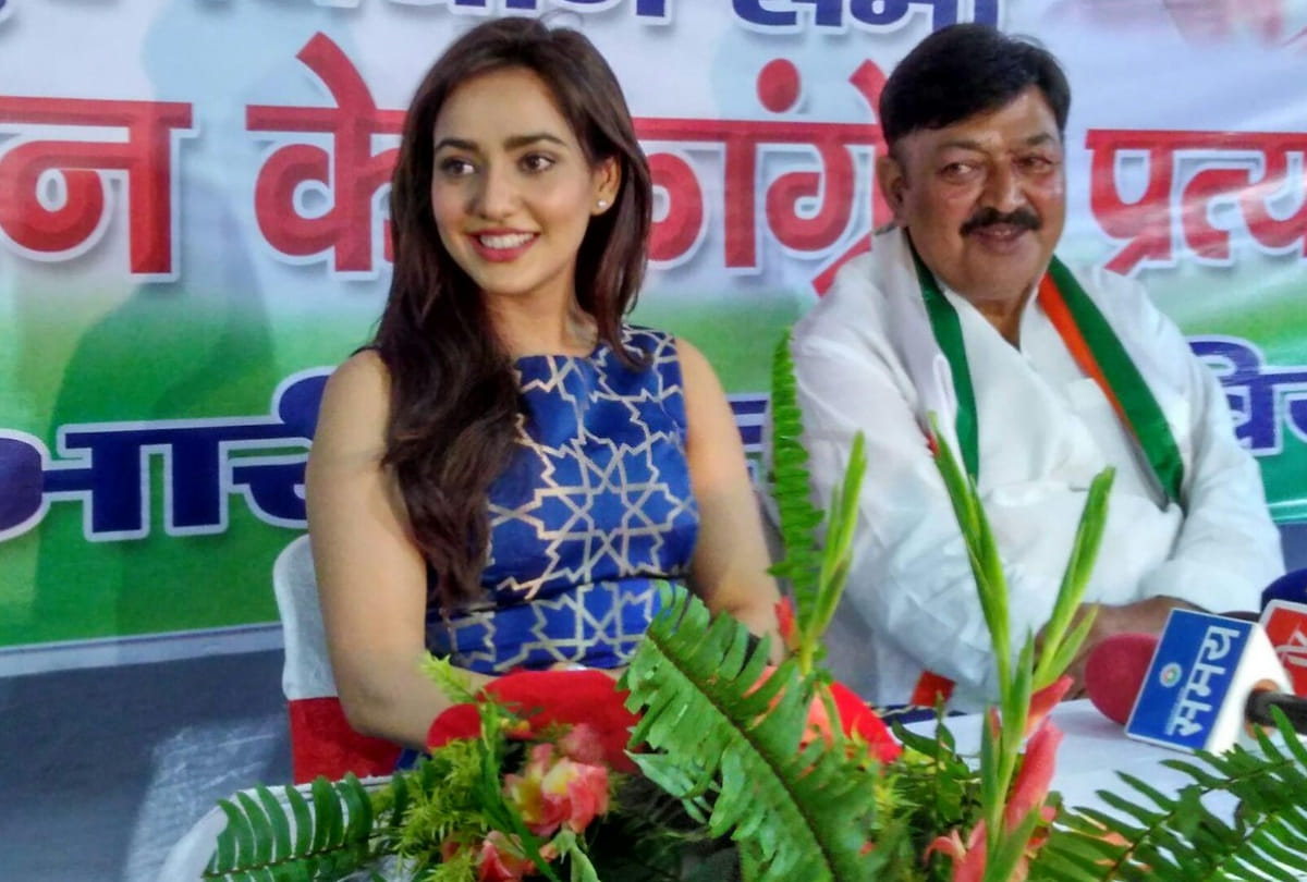 Bollywood News: Bihar Born actors rocking in Bollywood