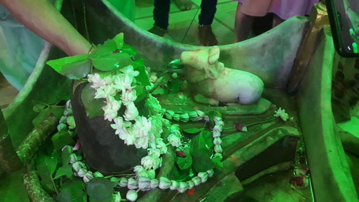 rumors of nandi drink milk water in mandir sai temple nadesar varanasi