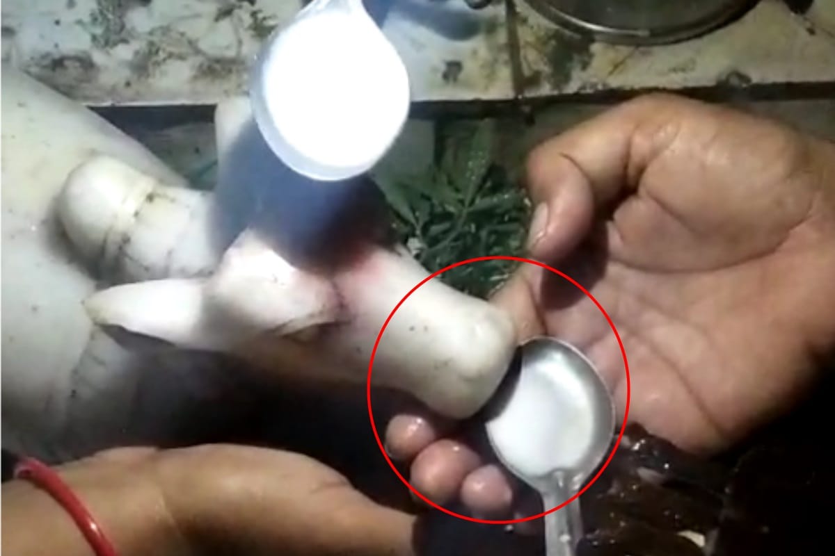 miracle in Shiva temple in Meerut where Nandi Baba drinking milk