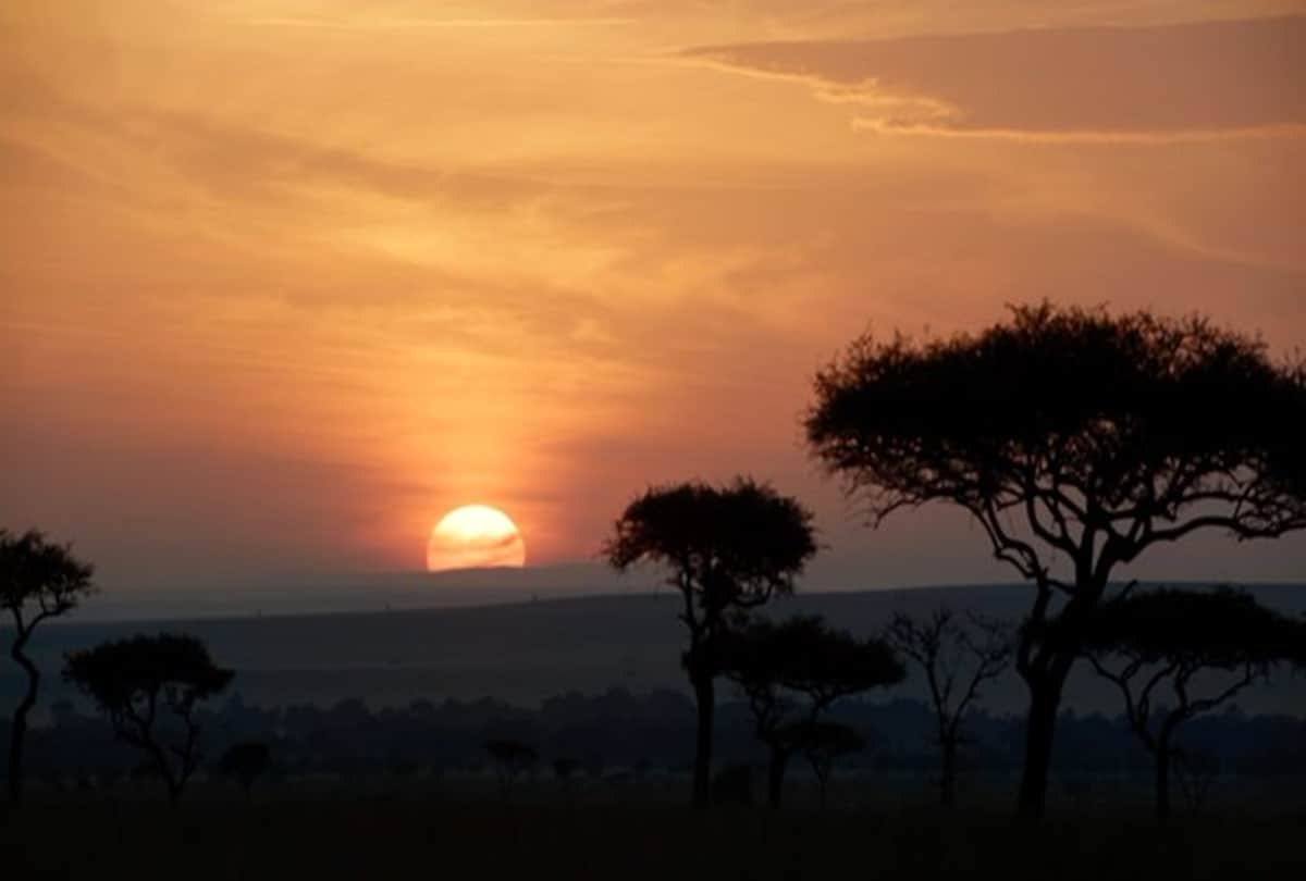 The Lion King Director Jon Favreau reveal the only real scene in film on twitter