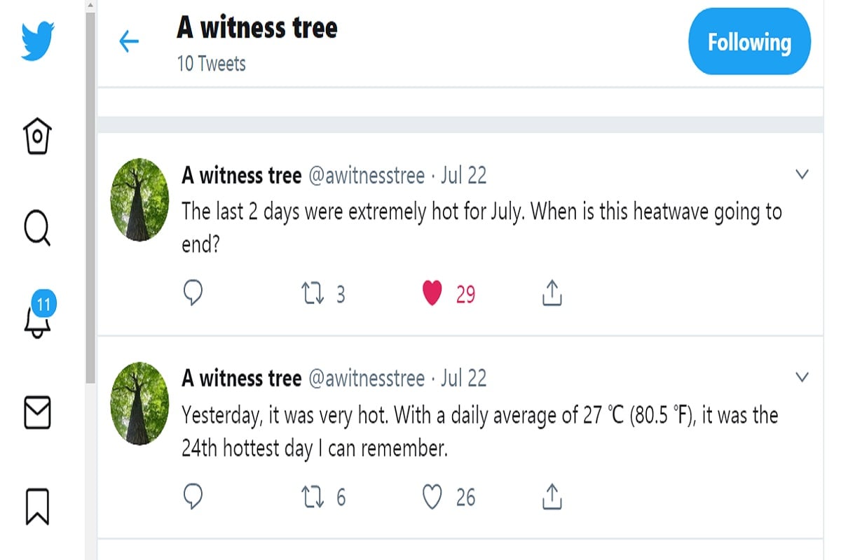 Tree That Is Live Tweeting