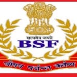 BSF