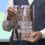 बाघों की संख्या पर रिपोर्ट पेश करते पीएम मोदी