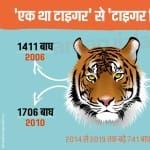 भा्रत में बाघों की संख्या 2967 हुई (ग्राफिक्स- रोहित झा)