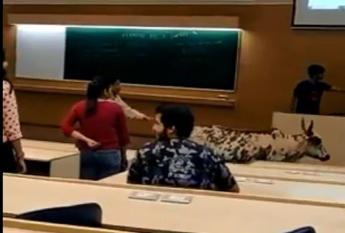 Cow ate books in IIT-Bombay hostel know more details