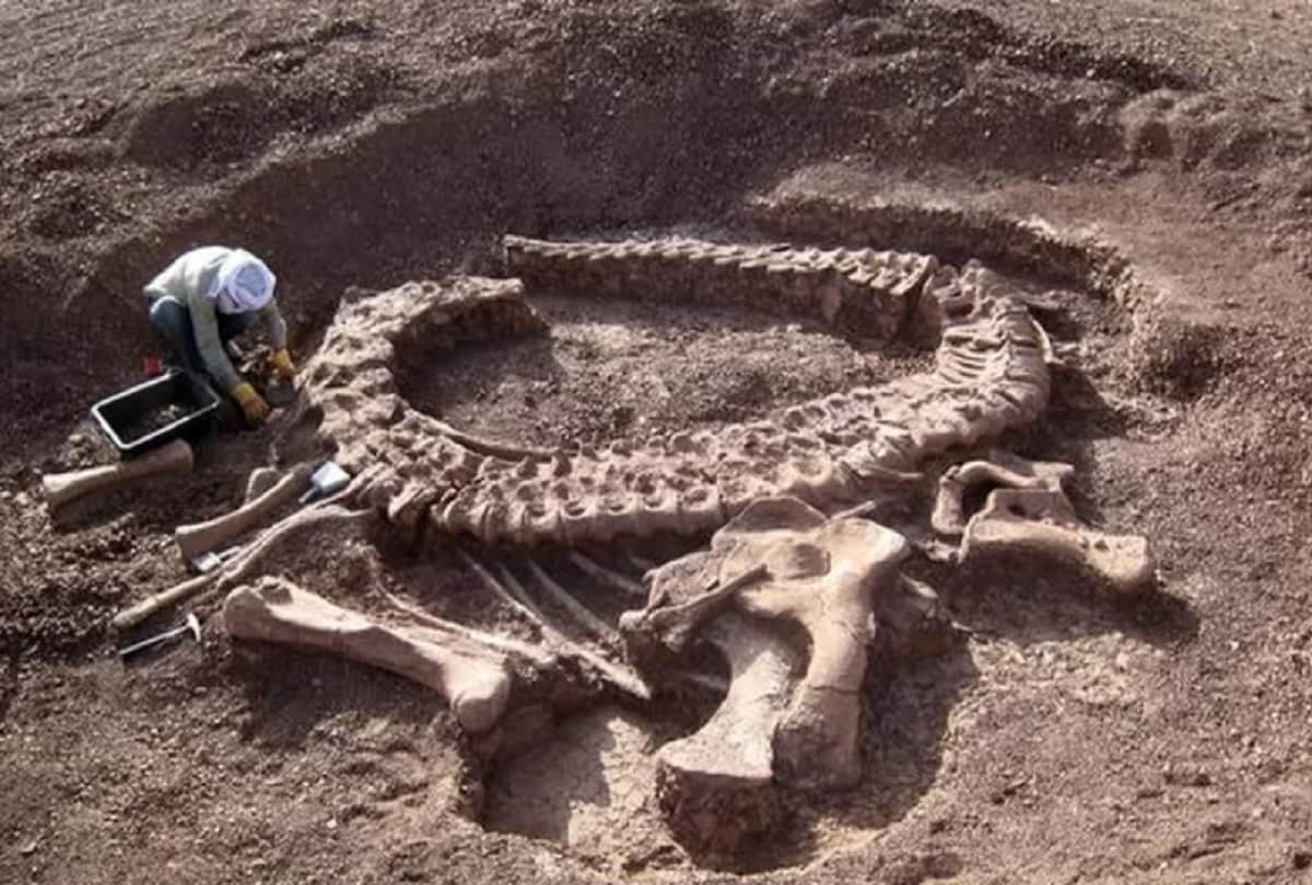 know how life bounced back after the great dying mass extinction event