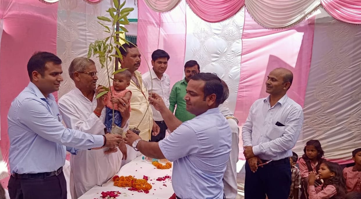 Sahari and mango plants distributed to 44 daughters
