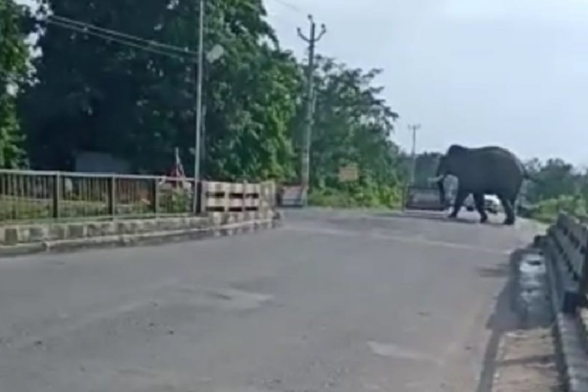 Glimps of Kanwar yatra 2019: shivbhakt face many problems