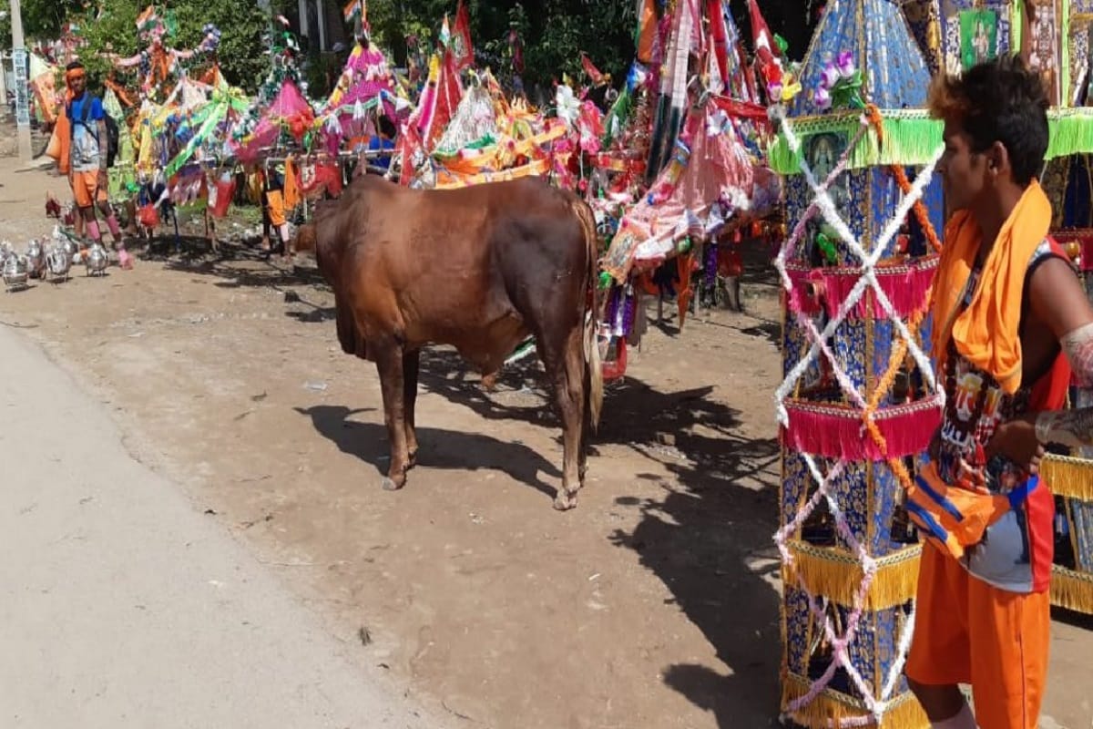 Glimps of Kanwar yatra 2019: shivbhakt face many problems