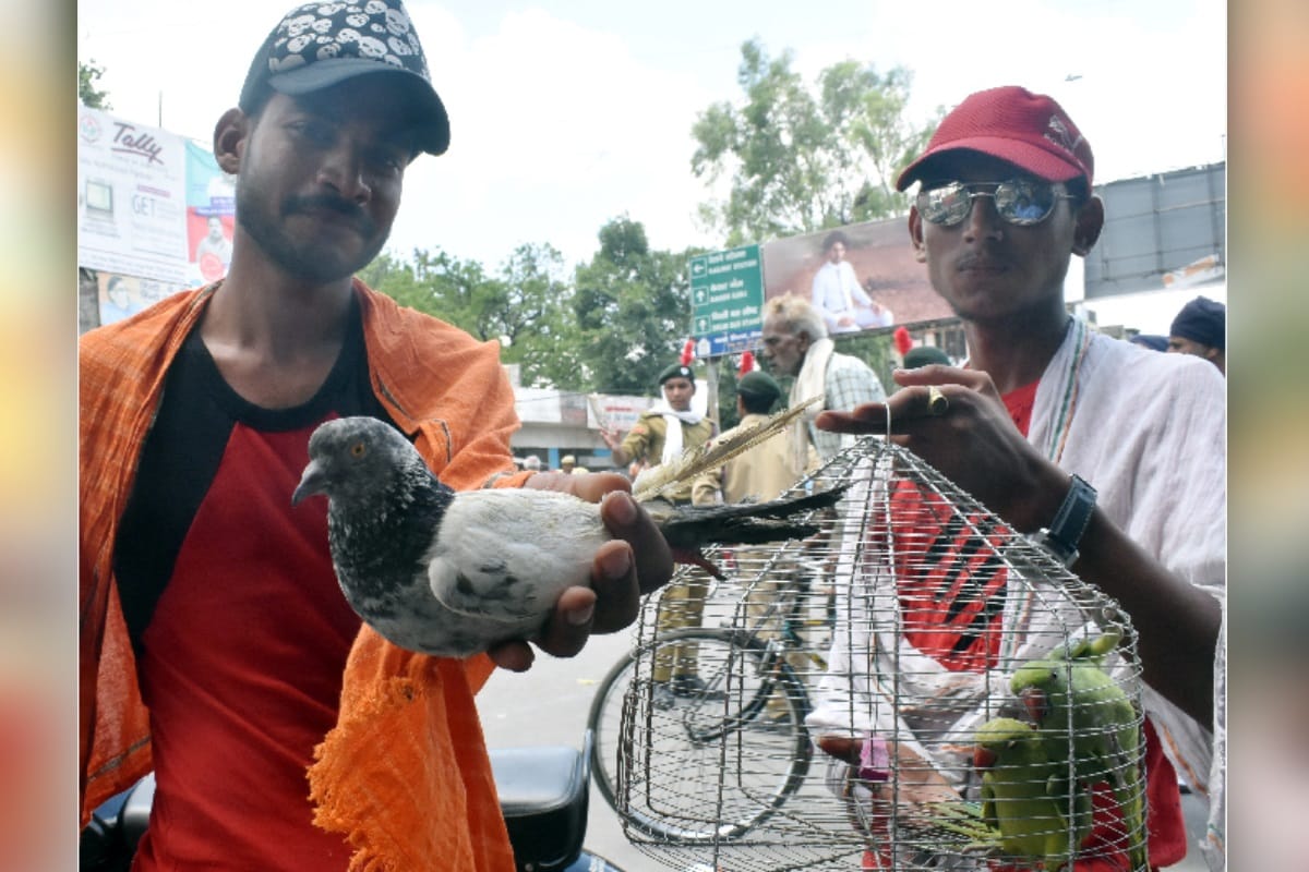 Kanwar Yatra 2019: muslim man participated in kanwar yatra, parrot and pigeon too brings kawad